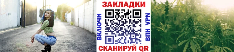 Альфа ПВП Новосокольники