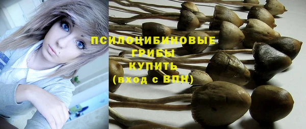 хмурый Слюдянка