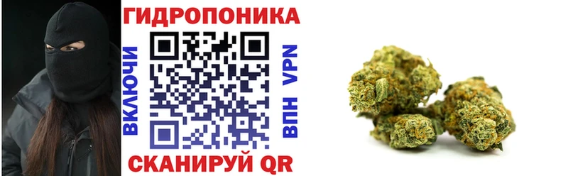 Канабис конопля  даркнет сайт  Новосокольники 